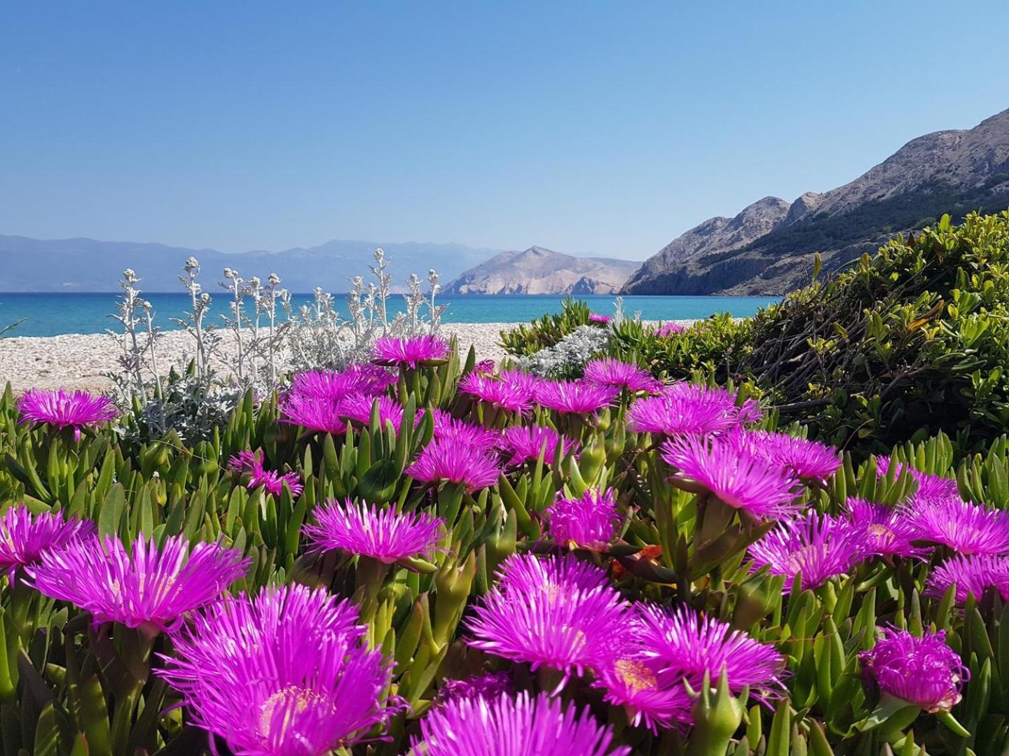 Apartments Mikulan Beach Baška Eksteriør bilde
